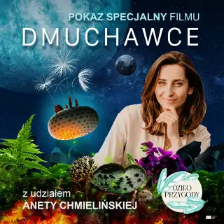 "Dmuchawce" do zobaczenia w piątek w Kinie Forum. To będzie pokaz specjalny