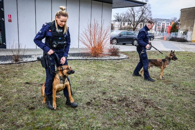 W policji w Lesznie w służbie funkcjonariuszom pomaga kilka wyszkolonych psów