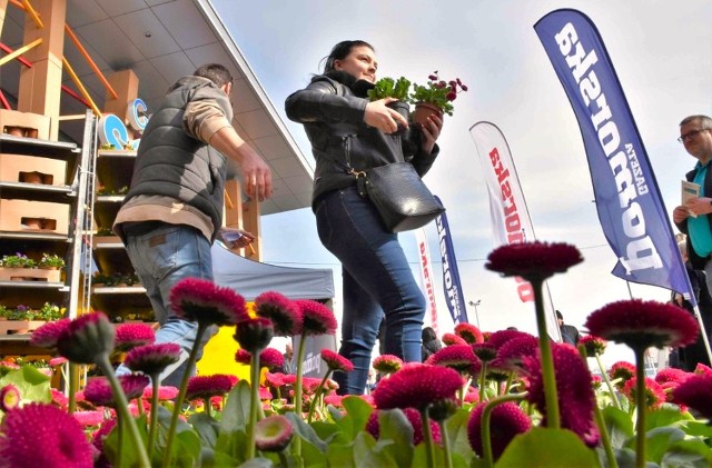 W sobotę, 6 kwietnia, w Galerii Solnej w Inowrocławiu znów będzie można wymienić nakrętki i butelki PET na sadzonki kwiatów