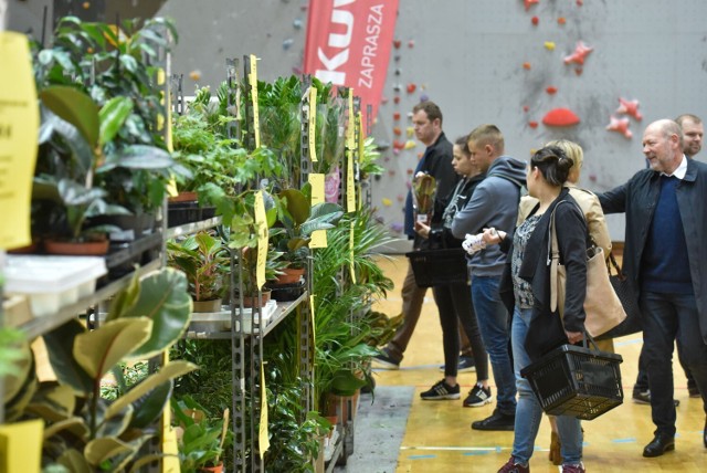 Tak było podczas Festiwalu roślin zorganizowanego w 2022 roku w Arenie Toruń.