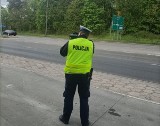 104 wykroczenia podczas policyjnych działań "Prędkość" we Włocławku i powiecie
