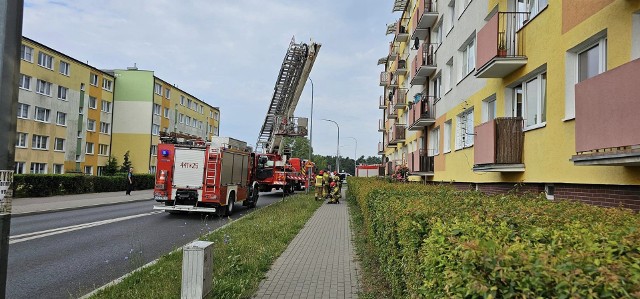 Cztery zastępy straży pożarnej gasiły pożar, który pojawił się na balkonie bloku przy ul. Śniadeckich w Grudziądzu
