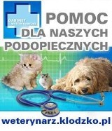 Logo firmy GABINET WETERYNARYJNY lek. wet. Dariusz Jaroszewski, specjalista chorób psów i kotów