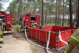 Strażackie ćwiczenia w Nadleśnictwie Grodziec. Jak walczyć z pożarem lasu? ZDJĘCIA