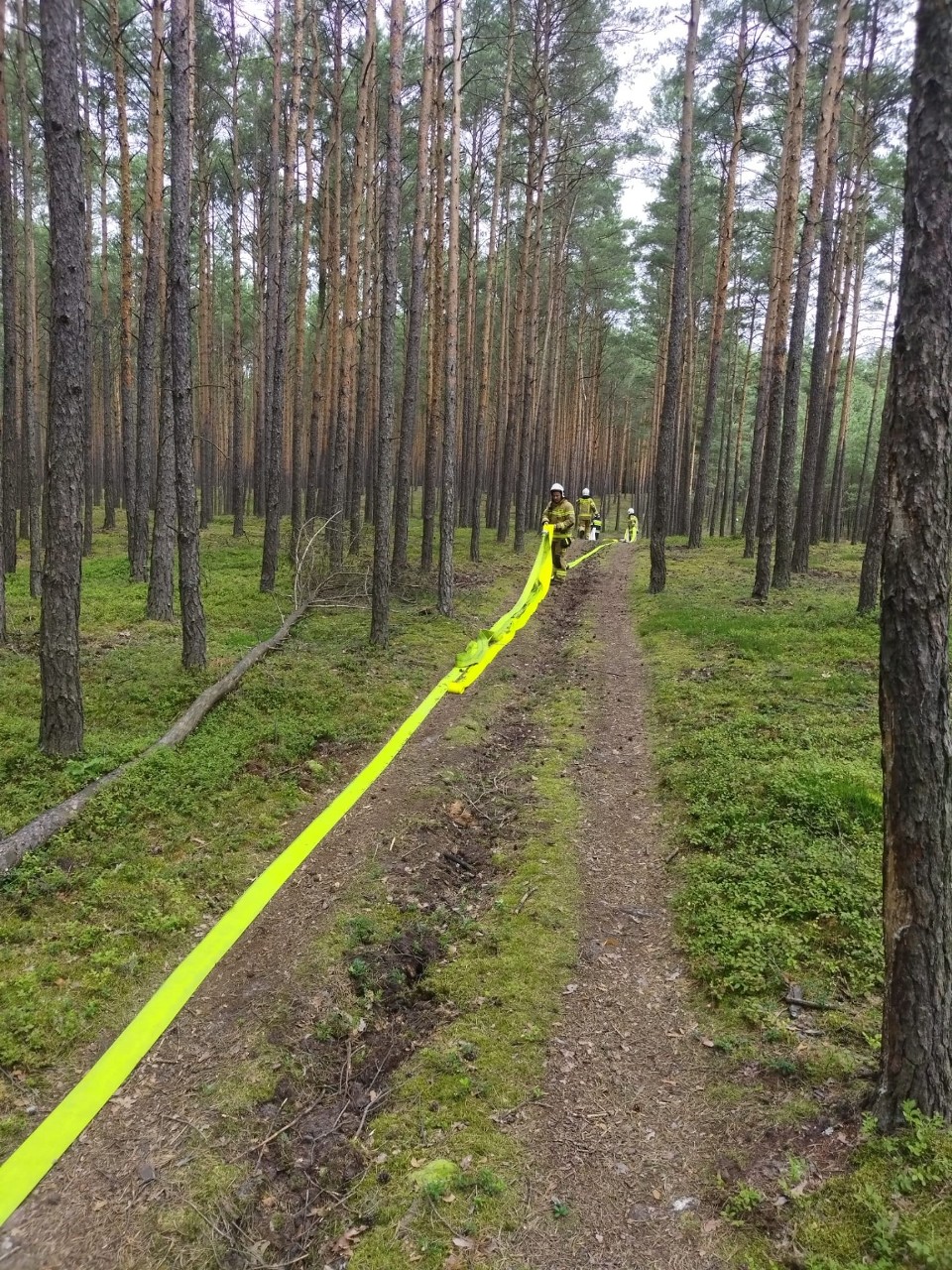 Strażackie ćwiczenia w lesie koło Dzierzbina