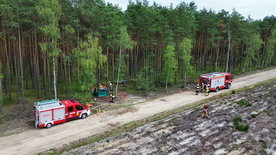 Strażackie ćwiczenia w lesie koło Dzierzbina