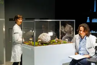 Science-fiction w teatrze już w weekend. BTL zaprasza na "Rzadkie gatunki"