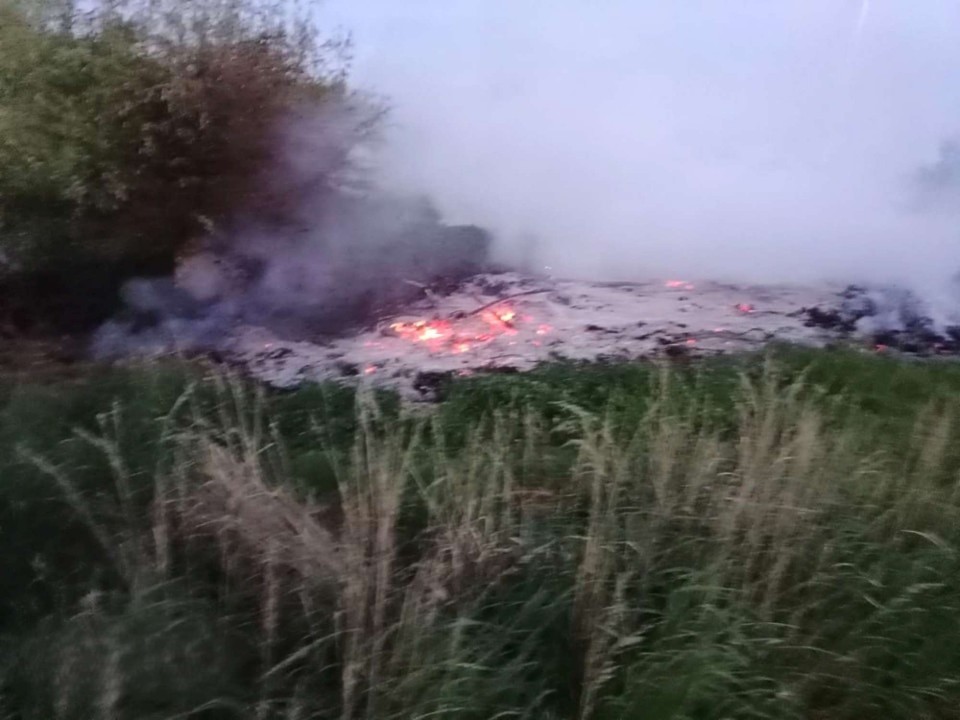 Pożar traw na ROD ul. Lipowa w Gołańczy