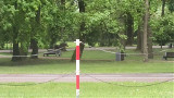 Łoś w centrum Białegostoku. Zwierzę odwiedziło Park Konstytucji 3 Maja