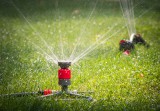 Nawadnianie trawnika: jak utrzymać zieleń przed domem przez cały rok? Sprawdź, jak wybrać i zainstalować najlepszy system nawadniający