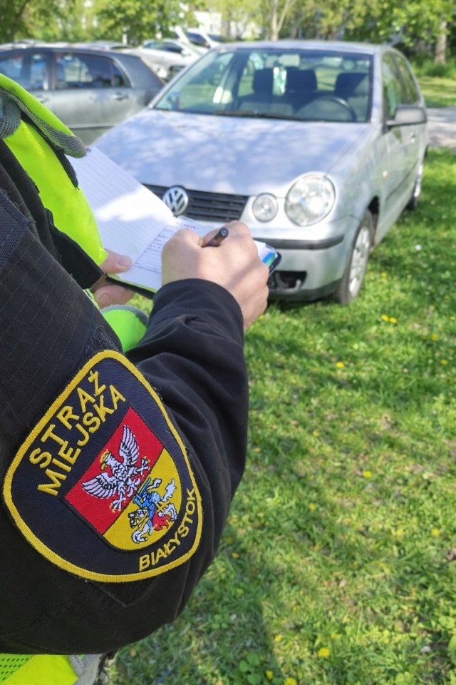 Strażnicy będą karać kierowców, którzy parkują na trawnikach