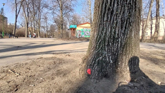 Planty pełne kropek. Czy to zapowiedź kolejnych wycinek w zabytkowym parku?