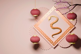 Jak rok Drewnianego Węża wpłynie na twój znak zodiaku? Horoskop chiński 2025