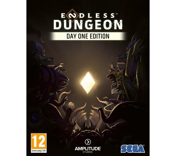 Endless Dungeon Edycja Day One Gra na PC