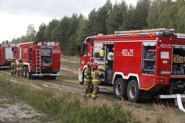 Do pożaru około 1 hektara lasu doszło we wtorek 30 kwietnia w Rawiczu na południu Wielkopolski / zdjęcie ilustracyjne
