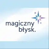 Logo firmy Magiczny Błysk