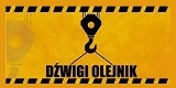 Logo firmy Dźwigi-Olejnik Damian Olejnik