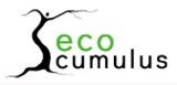 Logo firmy Eko Cumulus