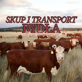 Logo firmy Skup i transport Bydła | Cieląt | Karol Dąbrowski