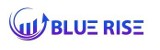 Logo firmy BlueRise - marketing internetowy freelancerzy