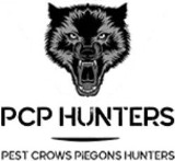 Logo firmy PCP HUNTERS | Wiatrówki | Amunicja | Latarki