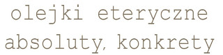 Logo firmy Synchro 