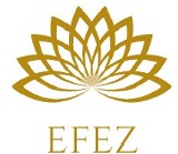 Logo firmy EFEZ