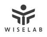 Logo firmy WiseLab Legal 