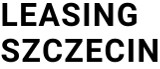 Logo firmy Leasing Szczecin - Leasing Aut Elektrycznych