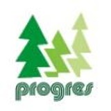 Logo firmy P.W. Progres K. Lewandowski, Ł. Lewandowski Sp. j.