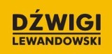 Logo firmy LEWANDOWSKI Paweł Lewandowski