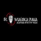 Logo firmy Akademia Sportów Walki Słowiańska Duma