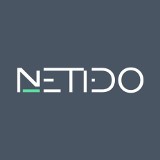 Logo firmy Netido - strony internetowe