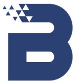 Logo firmy BlueNetwork Adam Bartosiewicz