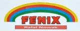 Logo firmy SALON PŁYTEK FENIX