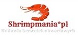 Logo firmy Shrimpmania hodowla krewetek akwariowych Małgorzata Soroka