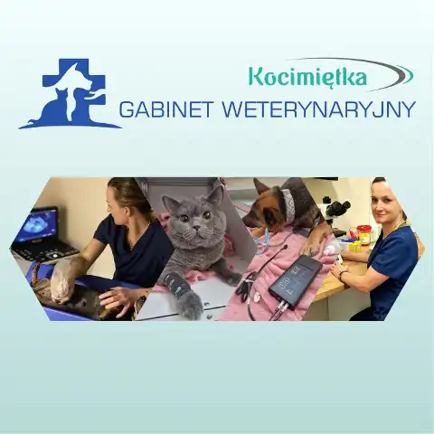 Gabinet weterynaryjny Kocimiętka - weterynarz Łomża, Łomża