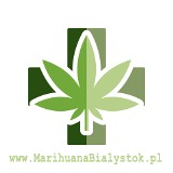Logo firmy Gabinet Leczenia Medyczną Marihuaną