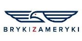 Logo firmy IMPORT USA - AUTO HANDEL KAROL PASZKIEWICZ