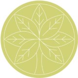 Logo firmy Masaż lomi lomi nui