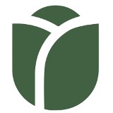 Logo firmy Kwiaciarnia Tulipan