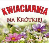 Logo firmy Usługi pogrzebowe MISTERIUM Kwiaciarnia na Krótkiej