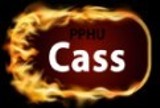 Logo firmy Cass PPHU Kazimierz Borowski