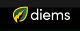 Logo firmy Diems - trening EMS