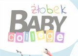 Logo firmy Niepubliczny Żłobek Baby College Active